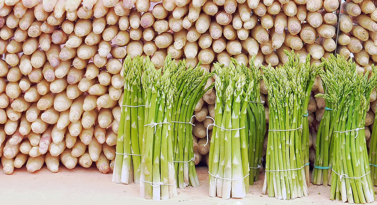 asparagus-1401025_1920