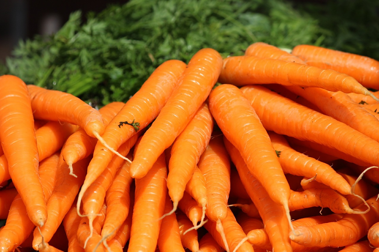 the-carrot-410670_1280