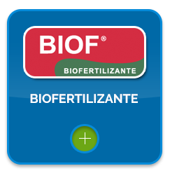 Biofertilizante